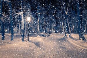 Winter night park with lanterns, pavement and trees covered with snow in snowfall. photo