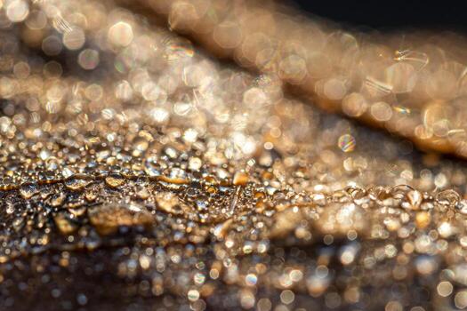 Dew drops on an autumn fallen leaf, shimmering in the sun, shot in close-up with bokeh. Abstract macro backdrop. photo