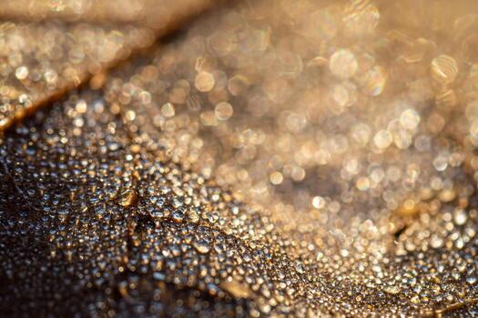 Dew drops on an autumn fallen leaf, shimmering in the sun, shot in close-up with bokeh. Abstract macro backdrop. photo