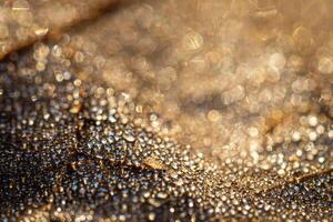 Dew drops on an autumn fallen leaf, shimmering in the sun, shot in close-up with bokeh. Abstract macro backdrop. photo