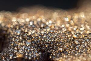 Dew drops on an autumn fallen leaf, shimmering in the sun, shot in close-up with bokeh. Abstract macro backdrop. photo