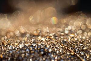 Dew drops on an autumn fallen leaf, shimmering in the sun, shot in close-up with bokeh. Abstract macro backdrop. photo