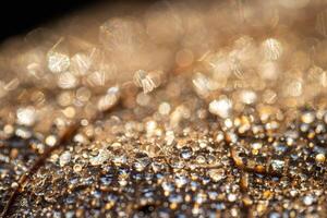 Dew drops on an autumn fallen leaf, shimmering in the sun, shot in close-up with bokeh. Abstract macro backdrop. photo