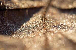 Dew drops on an autumn fallen leaf, shimmering in the sun, shot in close-up with bokeh. Abstract macro backdrop. photo