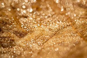 Dew drops on an autumn fallen leaf, shimmering in the sun, shot in close-up with bokeh. Abstract macro backdrop. photo