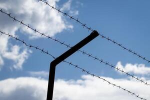 Barbed wire on the background of the cloudy sky. The concept of border closure, prison or loss of freedom. photo