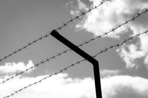 Barbed wire on the background of the cloudy sky. The concept of border closure, prison or loss of freedom. photo
