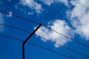 Barbed wire on the background of the cloudy sky. The concept of border closure, prison or loss of freedom. photo