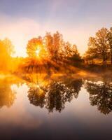 Golden misty sunrise on the pond in the autumn morning. Trees with rays of the sun cutting through it, reflected in the water. photo