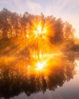 Golden misty sunrise on the pond in the autumn morning. Trees with rays of the sun cutting through it, reflected in the water. photo