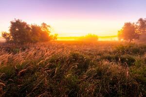 Foggy sunrise on an autumn field with grass and trees on a clear morning. photo