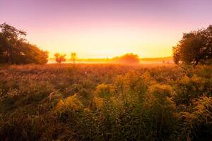 Foggy sunrise on an autumn field with grass and trees on a clear morning. photo