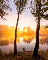 Golden misty sunrise on the pond in the autumn morning. Trees with rays of the sun cutting through it, reflected in the water. photo