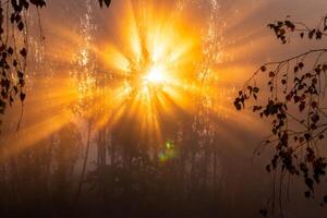 Sunrise with sunrays cutting through trees in fog, early autumn morning. photo