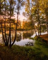 Golden misty sunrise on the pond in the autumn morning. Trees with rays of the sun cutting through it, reflected in the water. photo