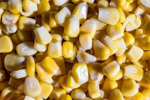 The texture of yellow uncooked corn kernels. photo
