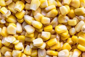 The texture of yellow uncooked corn kernels. photo