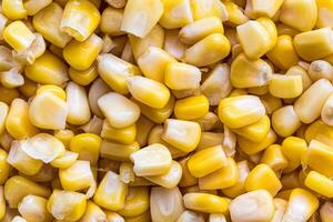 The texture of yellow uncooked corn kernels. photo