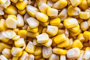 The texture of yellow uncooked corn kernels. photo