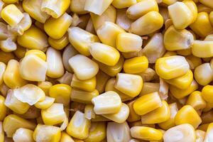 The texture of yellow uncooked corn kernels. photo
