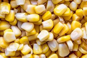The texture of yellow uncooked corn kernels. photo