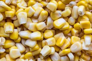 The texture of yellow uncooked corn kernels. photo