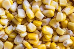 The texture of yellow uncooked corn kernels. photo