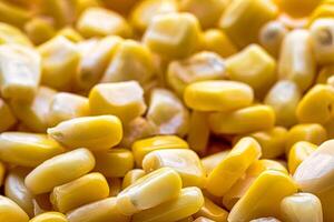 The texture of yellow uncooked corn kernels. photo