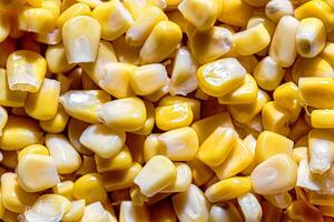 The texture of yellow uncooked corn kernels. photo