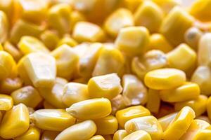 The texture of yellow uncooked corn kernels. photo