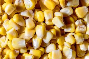 The texture of yellow uncooked corn kernels. photo