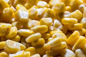 The texture of yellow uncooked corn kernels. photo