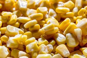 The texture of yellow uncooked corn kernels. photo