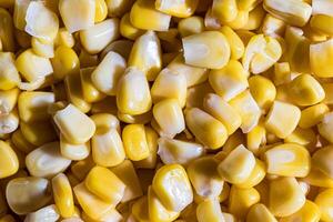 The texture of yellow uncooked corn kernels. photo