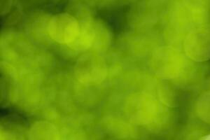 Blurred bokeh background image of bright green foliage in spring or summer. photo