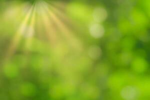 Blurred bokeh background image of bright green foliage and sunbeams in spring or summer. photo