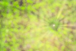 Blurred bokeh background image of bright green foliage and sunbeams in spring or summer. photo