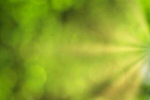 Blurred bokeh background image of bright green foliage and sunbeams in spring or summer. photo