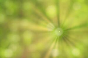 Blurred bokeh background image of bright green foliage and sunbeams in spring or summer. photo