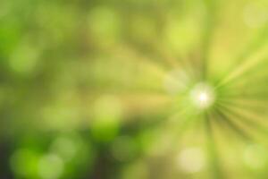 Blurred bokeh background image of bright green foliage and sunbeams in spring or summer. photo