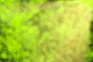 Blurred bokeh background image of bright green foliage and sunbeams in spring or summer. photo