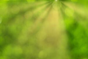 Blurred bokeh background image of bright green foliage and sunbeams in spring or summer. photo
