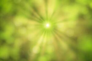 Blurred bokeh background image of bright green foliage and sunbeams in spring or summer. photo