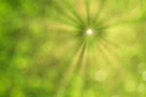 Blurred bokeh background image of bright green foliage and sunbeams in spring or summer. photo