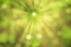 Blurred bokeh background image of bright green foliage and sunbeams in spring or summer. photo