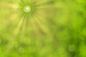 Blurred bokeh background image of bright green foliage and sunbeams in spring or summer. photo