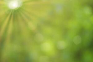 Blurred bokeh background image of bright green foliage and sunbeams in spring or summer. photo