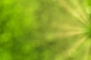 Blurred bokeh background image of bright green foliage and sunbeams in spring or summer. photo