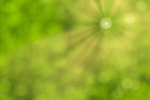 Blurred bokeh background image of bright green foliage and sunbeams in spring or summer. photo