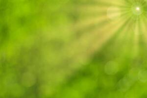 Blurred bokeh background image of bright green foliage and sunbeams in spring or summer. photo